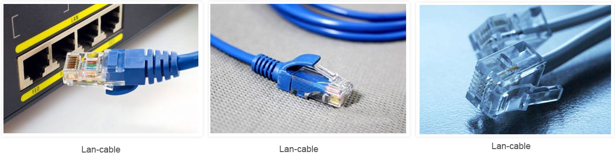 Network